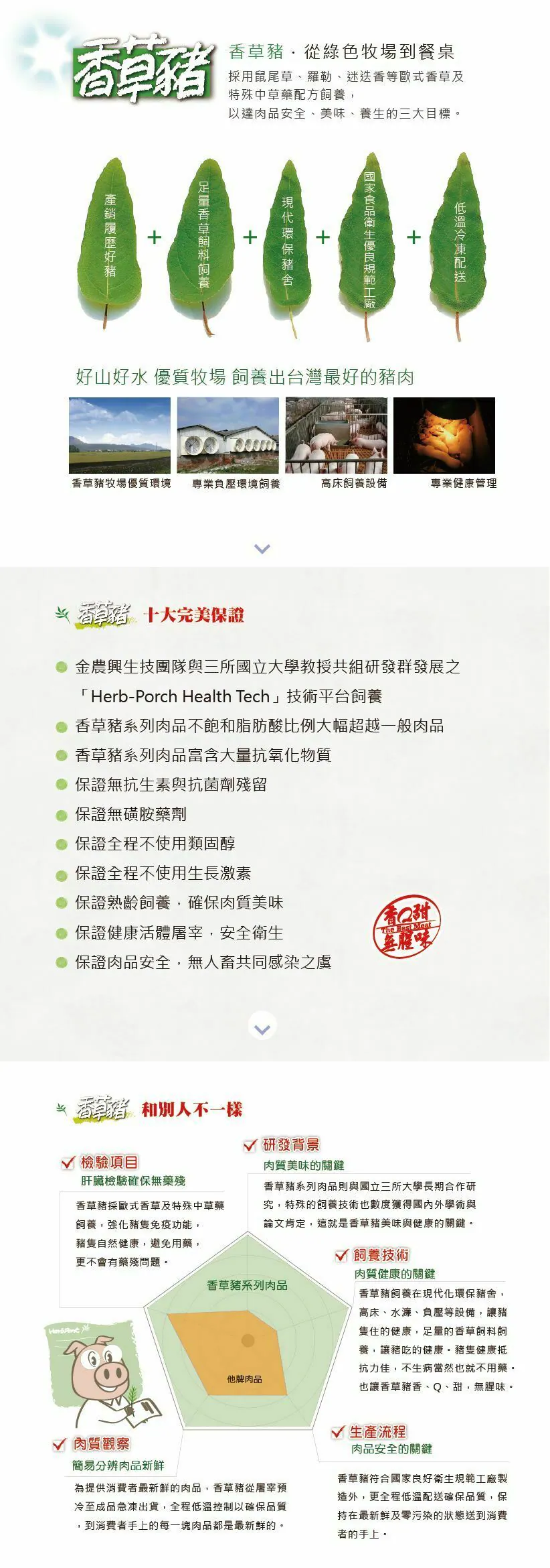 香草豬