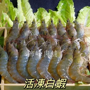 活凍生白蝦